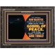 THE FEET OF THOSE WHO PREACH THE GOOD NEWS  Christian Quote Wooden Frame  GWFAVOUR10557  