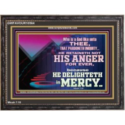 THE LORD DELIGHTETH IN MERCY  Contemporary Christian Wall Art Wooden Frame  GWFAVOUR10564  "45X33"