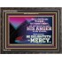 THE LORD DELIGHTETH IN MERCY  Contemporary Christian Wall Art Wooden Frame  GWFAVOUR10564  "45X33"