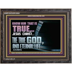JESUS CHRIST THE TRUE GOD AND ETERNAL LIFE  Christian Wall Art  GWFAVOUR10581  "45X33"