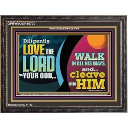 DILIGENTLY LOVE THE LORD WALK IN ALL HIS WAYS  Unique Scriptural Wooden Frame  GWFAVOUR10720  "45X33"