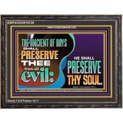 THE ANCIENT OF DAYS SHALL PRESERVE THEE FROM ALL EVIL  Scriptures Wall Art  GWFAVOUR10729  "45X33"