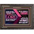 THE MEEK ALSO SHALL INCREASE THEIR JOY IN THE LORD  Scriptural Décor Wooden Frame  GWFAVOUR10735  "45X33"