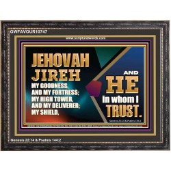 JEHOVAH JIREH OUR GOODNESS FORTRESS HIGH TOWER DELIVERER AND SHIELD  Scriptural Wooden Frame Signs  GWFAVOUR10747  "45X33"