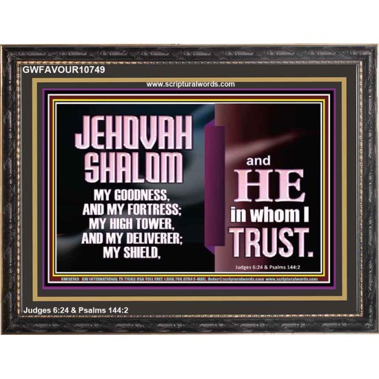 JEHOVAH SHALOM OUR GOODNESS FORTRESS HIGH TOWER DELIVERER AND SHIELD  Encouraging Bible Verse Wooden Frame  GWFAVOUR10749  