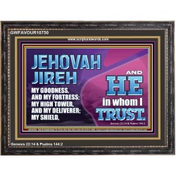 JEHOVAH JIREH OUR GOODNESS FORTRESS HIGH TOWER DELIVERER AND SHIELD  Encouraging Bible Verses Wooden Frame  GWFAVOUR10750  "45X33"