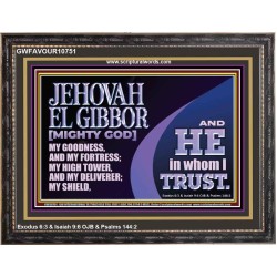 JEHOVAH EL GIBBOR MIGHTY GOD OUR GOODNESS FORTRESS HIGH TOWER DELIVERER AND SHIELD  Encouraging Bible Verse Wooden Frame  GWFAVOUR10751  "45X33"