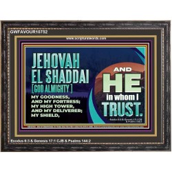 JEHOVAH EL SHADDAI GOD ALMIGHTY OUR GOODNESS FORTRESS HIGH TOWER DELIVERER AND SHIELD  Christian Quotes Wooden Frame  GWFAVOUR10752  "45X33"