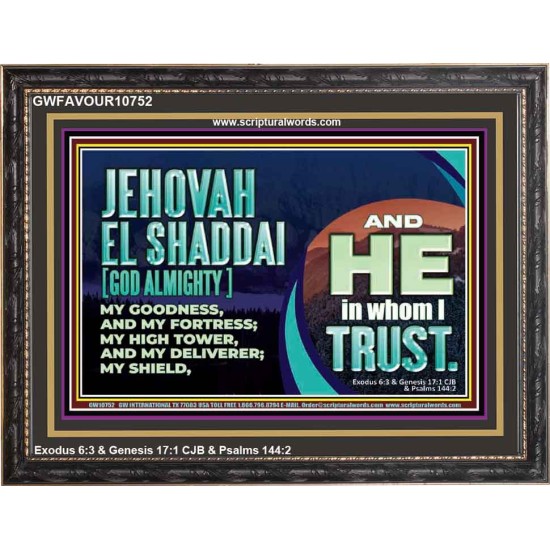 JEHOVAH EL SHADDAI GOD ALMIGHTY OUR GOODNESS FORTRESS HIGH TOWER DELIVERER AND SHIELD  Christian Quotes Wooden Frame  GWFAVOUR10752  