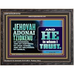 JEHOVAH ADONAI TZIDKENU OUR RIGHTEOUSNESS OUR GOODNESS FORTRESS HIGH TOWER DELIVERER AND SHIELD  Christian Quotes Wooden Frame  GWFAVOUR10753  "45X33"