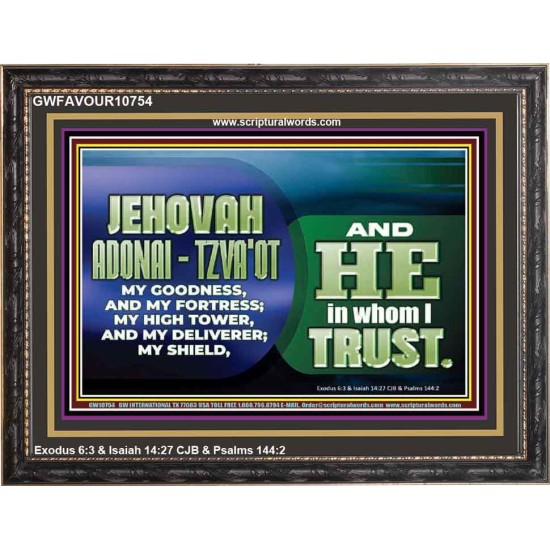 JEHOVAI ADONAI - TZVA'OT OUR GOODNESS FORTRESS HIGH TOWER DELIVERER AND SHIELD  Christian Quote Wooden Frame  GWFAVOUR10754  