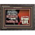 HE THAT BELIEVETH ON ME HATH EVERLASTING LIFE  Contemporary Christian Wall Art  GWFAVOUR10758  "45X33"