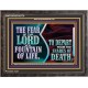 THE FEAR OF THE LORD IS A FOUNTAIN OF LIFE TO DEPART FROM THE SNARES OF DEATH  Scriptural Wooden Frame Wooden Frame  GWFAVOUR10770  