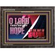 O LORD THAT ART MY HOPE IN THE DAY OF EVIL  Christian Paintings Wooden Frame  GWFAVOUR10791  