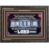 THE HOLY CROWN OF PURE GOLD  Righteous Living Christian Wooden Frame  GWFAVOUR11756  "45X33"