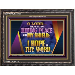 THOU ART MY HIDING PLACE AND SHIELD  Bible Verses Wall Art Wooden Frame  GWFAVOUR12045  "45X33"