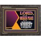 THE LORD WILL ORDAIN PEACE FOR US  Large Wall Accents & Wall Wooden Frame  GWFAVOUR12113  