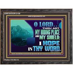 THOU ART MY HIDING PLACE AND SHIELD  Large Custom Wooden Frame   GWFAVOUR12159  "45X33"