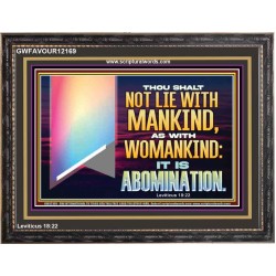 THOU SHALT NOT LIE WITH MANKIND AS WITH WOMANKIND IT IS ABOMINATION  Bible Verse for Home Wooden Frame  GWFAVOUR12169  "45X33"