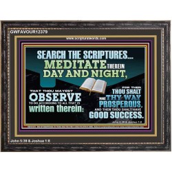 SEARCH THE SCRIPTURES MEDITATE THEREIN DAY AND NIGHT  Unique Power Bible Wooden Frame  GWFAVOUR12379  