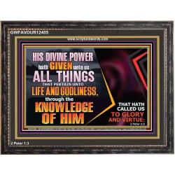 HIS DIVINE POWER HATH GIVEN UNTO US ALL THINGS  Eternal Power Wooden Frame  GWFAVOUR12405  "45X33"