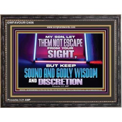 KEEP SOUND AND GODLY WISDOM AND DISCRETION  Church Wooden Frame  GWFAVOUR12406  "45X33"
