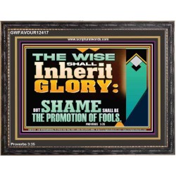 THE WISE SHALL INHERIT GLORY  Sanctuary Wall Wooden Frame  GWFAVOUR12417  "45X33"