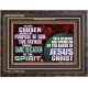 CHOSEN ACCORDING TO THE PURPOSE OF GOD THE FATHER THROUGH SANCTIFICATION OF THE SPIRIT  Church Wooden Frame  GWFAVOUR12432  