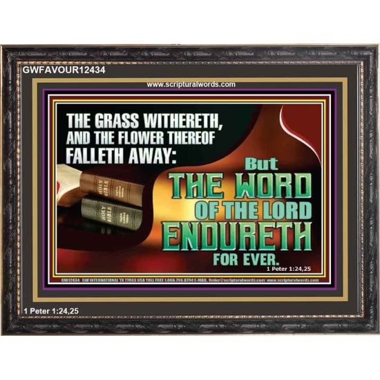 THE WORD OF THE LORD ENDURETH FOR EVER  Sanctuary Wall Wooden Frame  GWFAVOUR12434  
