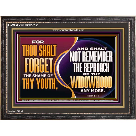 THOU SHALT FORGET THE SHAME OF THY YOUTH  Encouraging Bible Verse Wooden Frame  GWFAVOUR12712  
