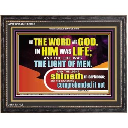 THE LIGHT SHINETH IN DARKNESS YET THE DARKNESS DID NOT OVERCOME IT  Ultimate Power Picture  GWFAVOUR12987  "45X33"