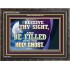 RECEIVE THY SIGHT AND BE FILLED WITH THE HOLY GHOST  Sanctuary Wall Wooden Frame  GWFAVOUR13056  "45X33"