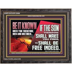 IF THE SON THEREFORE SHALL MAKE YOU FREE  Ultimate Inspirational Wall Art Wooden Frame  GWFAVOUR13066  "45X33"