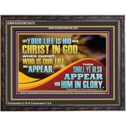 WHEN CHRIST WHO IS OUR LIFE SHALL APPEAR  Children Room Wall Wooden Frame  GWFAVOUR13073  "45X33"