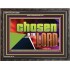 CHOSEN IN THE LORD  Wall Décor Wooden Frame  GWFAVOUR13099  "45X33"