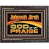JEHOVAH JIREH GOD OF MY PRAISE  Bible Verse Art Prints  GWFAVOUR13118  "45X33"