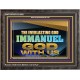 THE EVERLASTING GOD IMMANUEL..GOD WITH US  Scripture Art Wooden Frame  GWFAVOUR13134B  