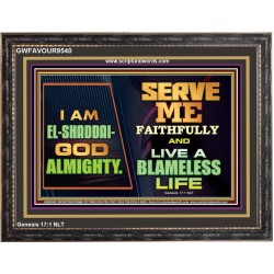 EL SHADDAI GOD ALMIGHTY  Unique Scriptural Wooden Frame  GWFAVOUR9540  "45X33"