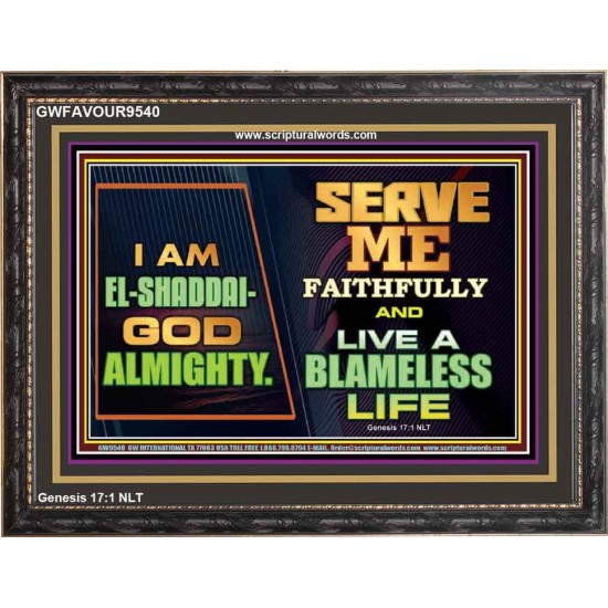 EL SHADDAI GOD ALMIGHTY  Unique Scriptural Wooden Frame  GWFAVOUR9540  