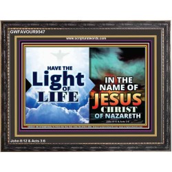 HAVE THE LIGHT OF LIFE  Sanctuary Wall Wooden Frame  GWFAVOUR9547  "45X33"
