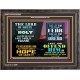 LORD OF HOSTS ONLY HOPE OF SAFETY  Unique Scriptural Wooden Frame  GWFAVOUR9565  
