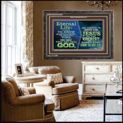 ETERNAL LIFE IS TO KNOW AND DWELL IN HIM CHRIST JESUS  Church Wooden Frame  GWFAVOUR10395  "45X33"