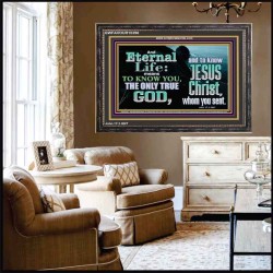 ETERNAL LIFE ONLY THROUGH CHRIST JESUS  Children Room  GWFAVOUR10396  "45X33"