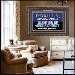 CHRIST JESUS THE ONLY WAY TO ETERNAL LIFE  Sanctuary Wall Wooden Frame  GWFAVOUR10397  "45X33"