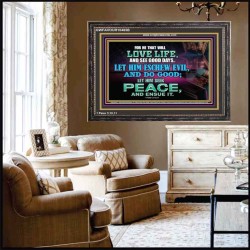 SEEK AND PURSUE PEACE  Biblical Paintings Wooden Frame  GWFAVOUR10485B  