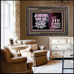 JEHOVAH SHALOM OUR GOODNESS FORTRESS HIGH TOWER DELIVERER AND SHIELD  Encouraging Bible Verse Wooden Frame  GWFAVOUR10749  "45X33"