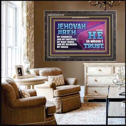 JEHOVAH JIREH OUR GOODNESS FORTRESS HIGH TOWER DELIVERER AND SHIELD  Encouraging Bible Verses Wooden Frame  GWFAVOUR10750  "45X33"