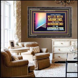 THOU SHALT NOT LIE WITH MANKIND AS WITH WOMANKIND IT IS ABOMINATION  Bible Verse for Home Wooden Frame  GWFAVOUR12169  "45X33"