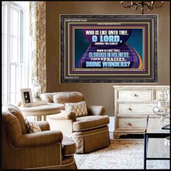 FEARFUL IN PRAISES DOING WONDERS  Ultimate Inspirational Wall Art Wooden Frame  GWFAVOUR12320  "45X33"