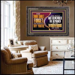 THOU SHALT FORGET THE SHAME OF THY YOUTH  Encouraging Bible Verse Wooden Frame  GWFAVOUR12712  "45X33"